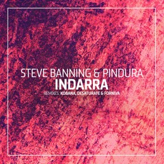 Steve Banning & Pindura - Indarra (Desaturate & Forniva Remix)