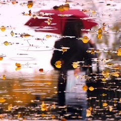 Tears Of Autumn