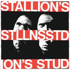 Stallion's Stud - Unpredictable [Artificial Dance]