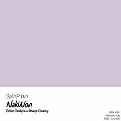 Nak Won - Cotton candy in a strange country
