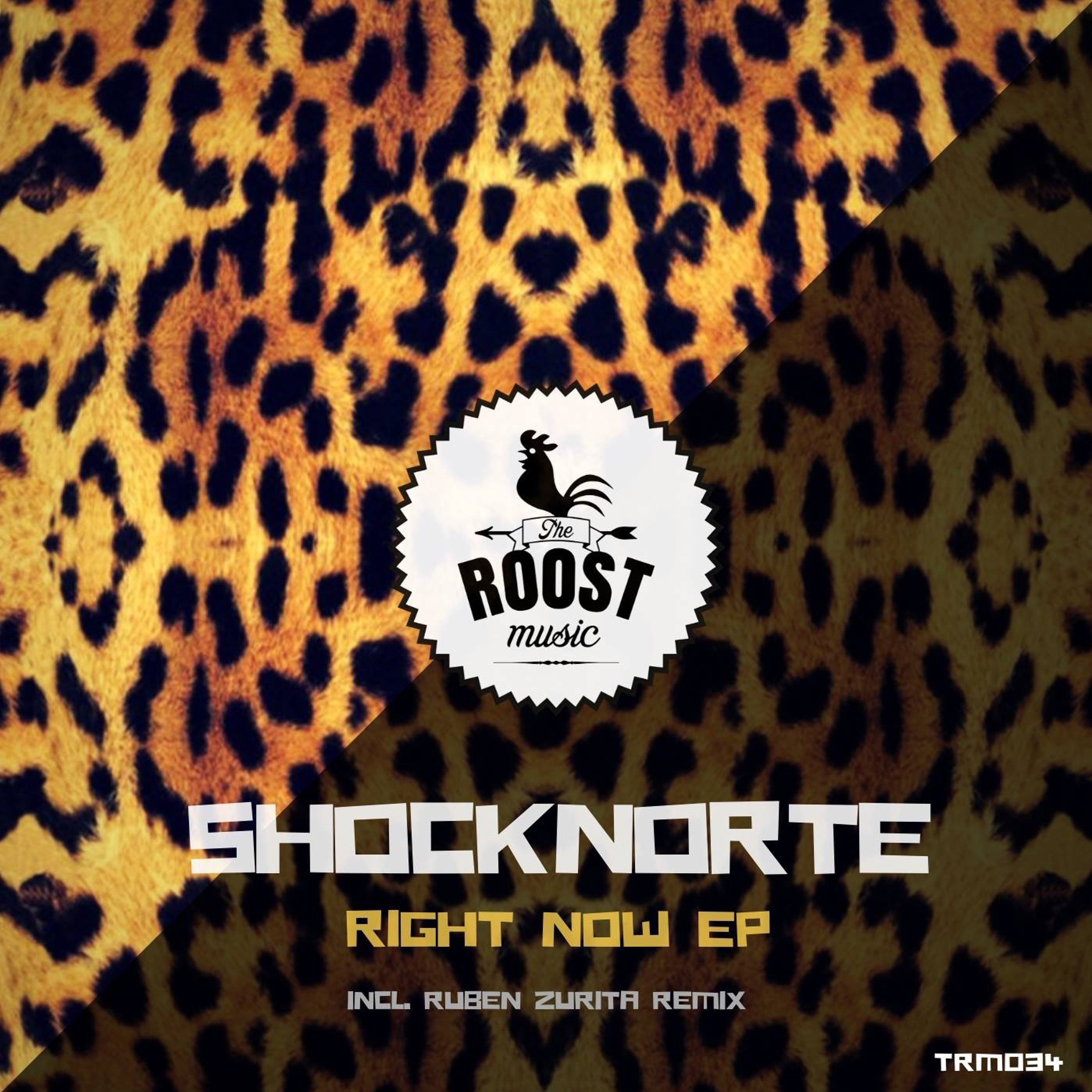 Shocknorte