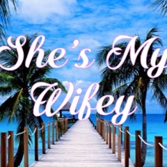 DJ DANASAUR - She's My Wifey