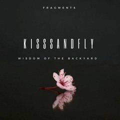 KisssandFly - Salvation Lane (Selected Remix)