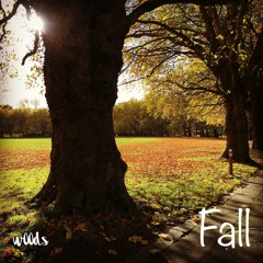 fallen leaves