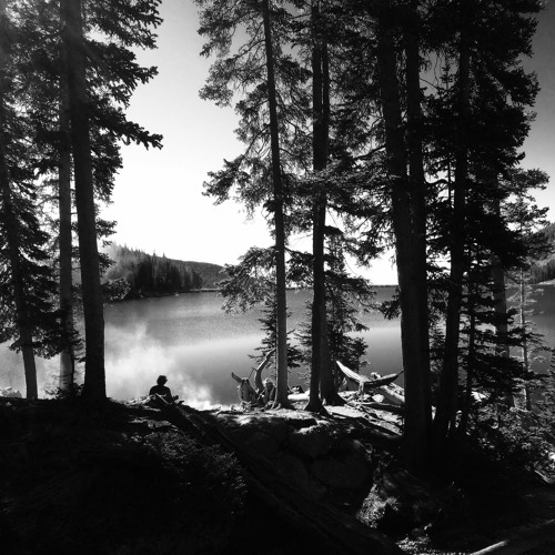 Plain Faraday - I Wanted You To Know