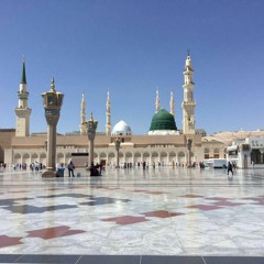 قصيدةفمبلغ العلم فيه انه بشر ـ اجمل ما قيل فى مدح الرسول ـ بصوت اسامه ياسين ـ قصايد البرهانية