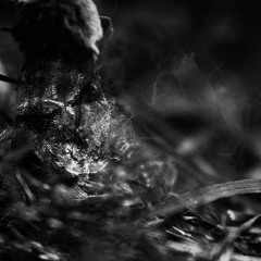 Monochrome Podcast: Chapter 14 - AKINSA