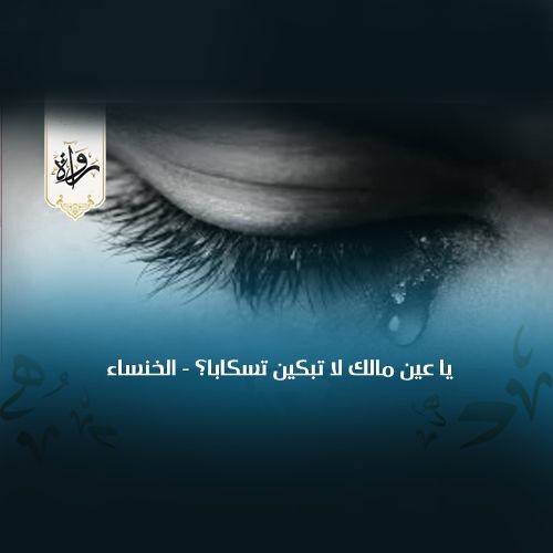 يا عين مالك لا تبكين تسكابا؟ - الخنساء