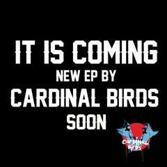Cardinal Birds - Children of the 1990's (Official EP Teaser)