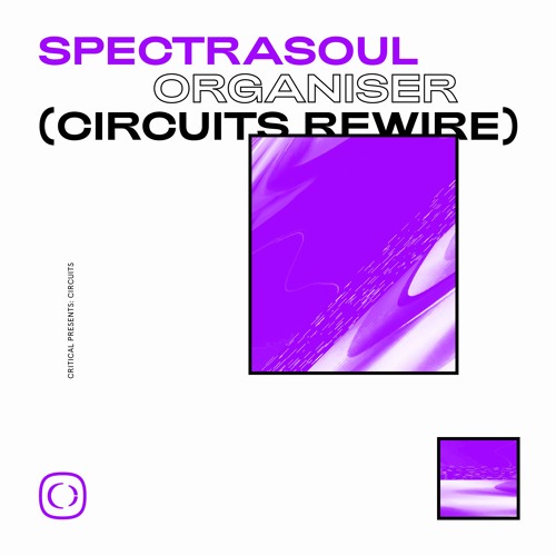 SpectraSoul - Organiser (Circuits Rewire)