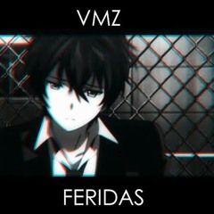 VMZ - Feridas