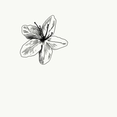 light