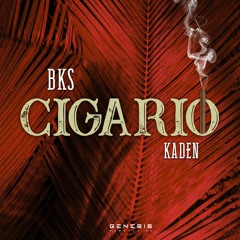 BKS feat Kaden - Cigarillo