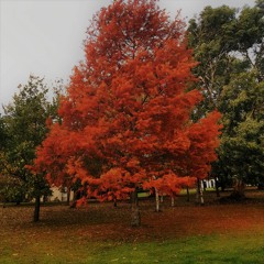 high time (prod. Yondo)