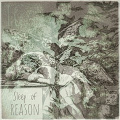 Sleep of Reason