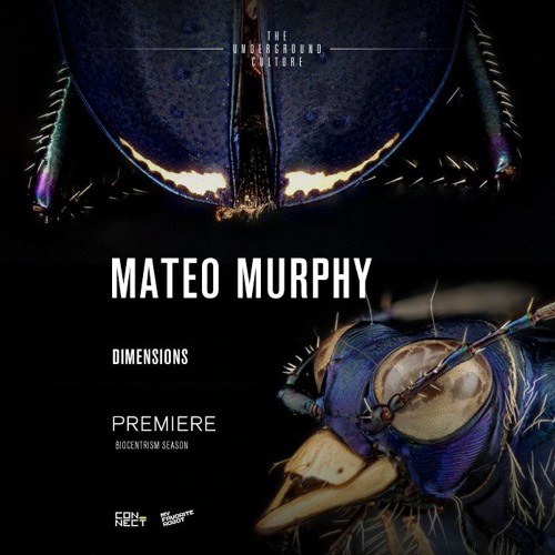 PREMIERE: Mateo Murphy - Dimensions (Original Mix) [My Favorite Robot]