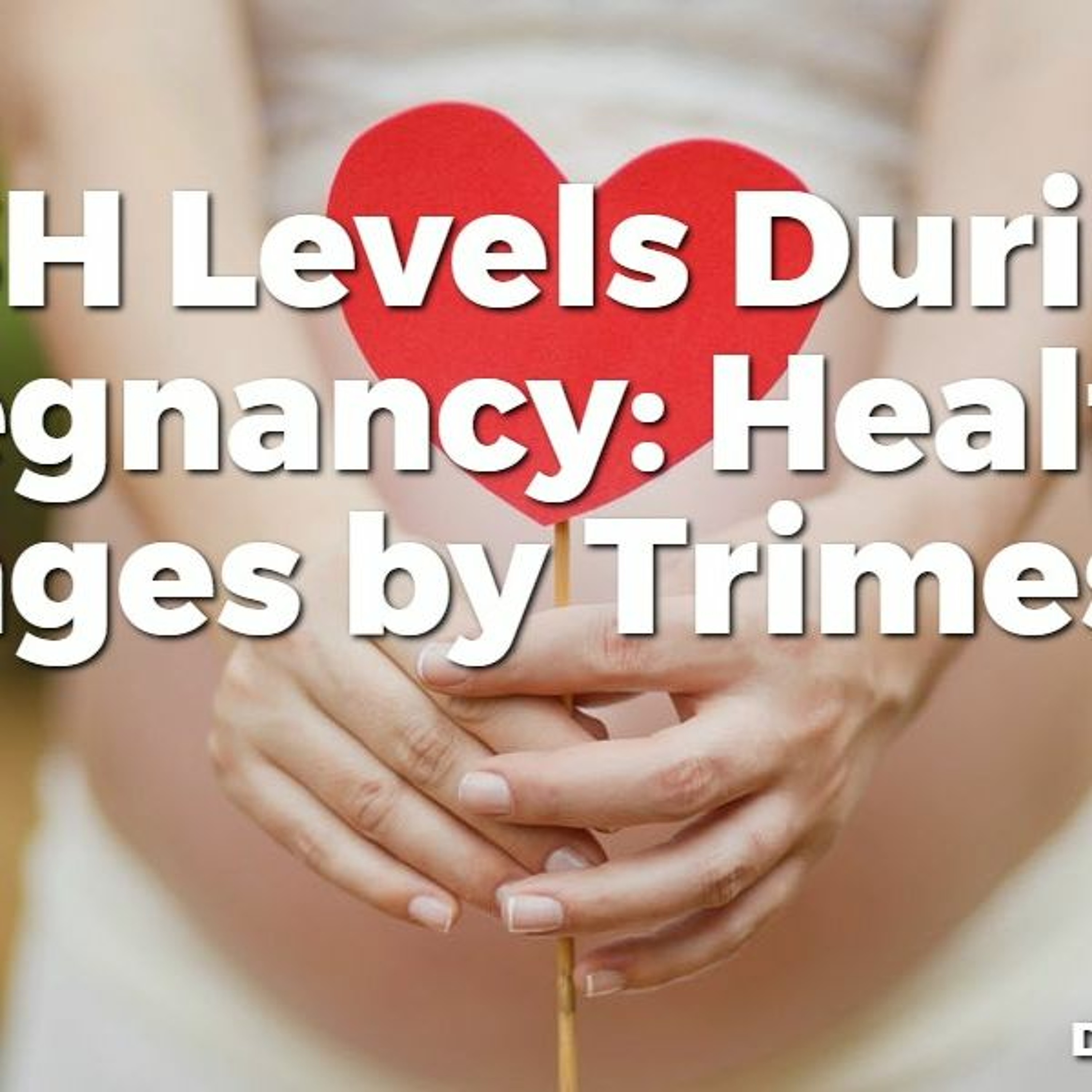 TSH Levels During Pregnancy: Healthy Ranges by Trimester