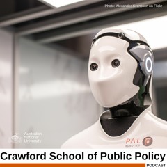 Should robots replace public servants?