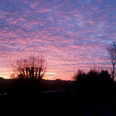 Motion Picture Soundtrack Segment 1 (radiohead)