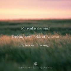 haiku #254: My soul is the wind / Dashing down fields of Autumn: / O, too swift to sing.