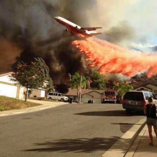 Cell Tower . . . or Tree?