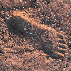 A name you won't understand