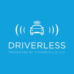 3 - Thinking about Potential AV Litigation