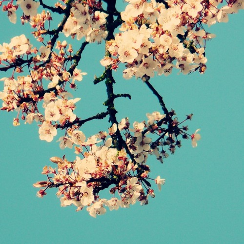 Moonlight [ft. mac moon]