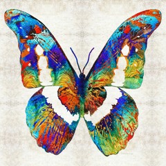 Morpho