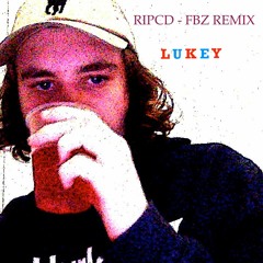 RIPCD (Flatbush Zombies Remix)