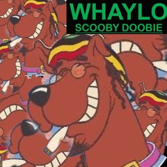 Scooby Doobie