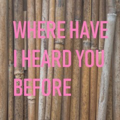 WHERE HAVE I HEARD YOU BEFORE mp3 New vinyl set by VRETT  14-11-2018