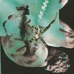 B2 FRIZZ - collapsed