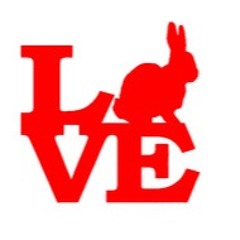 DJ Play Our Song (Gelee Royal Feat. SOPHI)