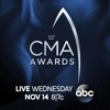Carrie Underwood On Performing Love Wins On National Tv Mp3