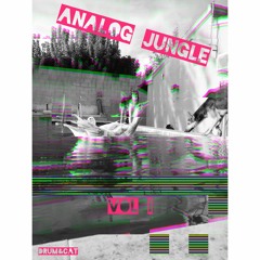 Analog Jungle Vol.I