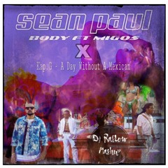Migos & Sean Paul - Mexican Body (Kap G - A day without a mexican MASHUP)