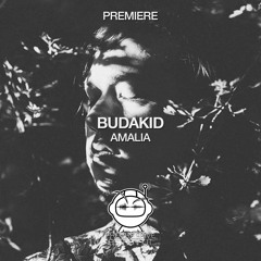 PREMIERE: Budakid - Amalia (Original Mix) [Radikon]