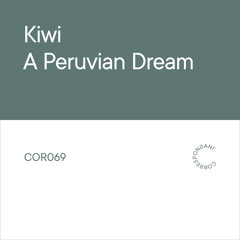 PREMIERE : Kiwi - Condor (Rex The Dog Remix)