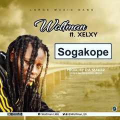 Wolfman Ft Selsy   Sogakope   Mixed By Shawerz Ebiem