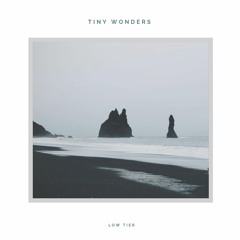 Tiny Wonders