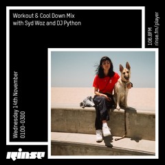 Workout & Cool Down Mix with Syd Woz and DJ Python