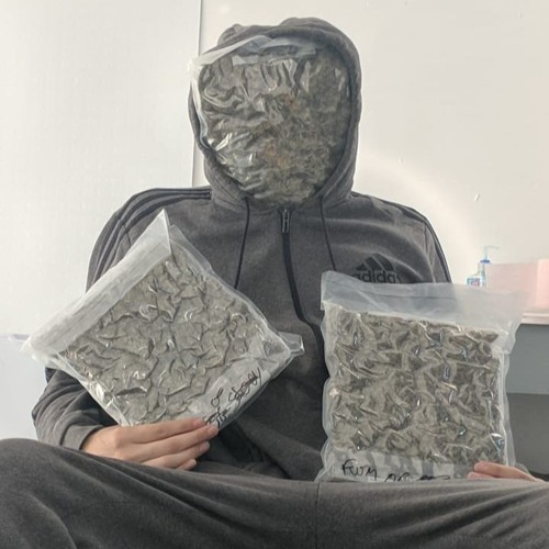New private playlist