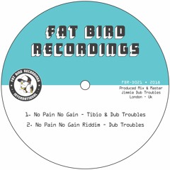 No Pain No Gain Riddim - Dub Troubles