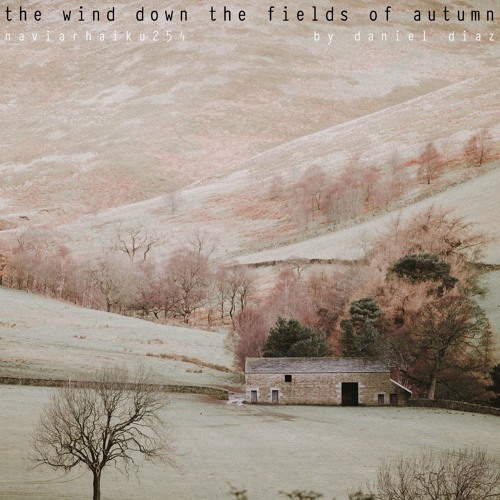 The Wind Down The Fields of Autumn (naviarhaiku254)