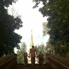 เซ-ลา-วี - Ptee