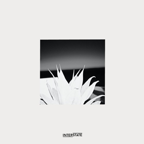 Schacke - Met Her At The Herrensauna [INS004 | B1 | Premiere]