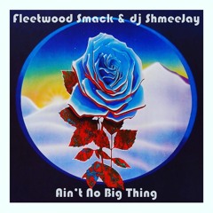 Fleetwood Smack & dj ShmeeJay - Ain't No Big Thing