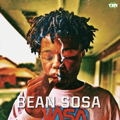 Bean Sosa X Remember