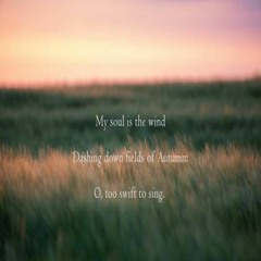 My Soul Is The Wind Dashing Down Fields Of Autumn - O Too Swift To Sing (Naviarhaiku 254)